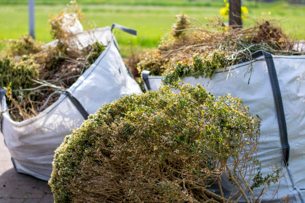 Best Yard Cleanup Services  in Hampton, AR