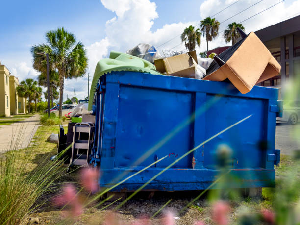 Best Office Junk Removal  in Hampton, AR
